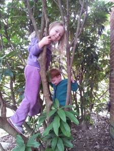 Tree climbing 1
